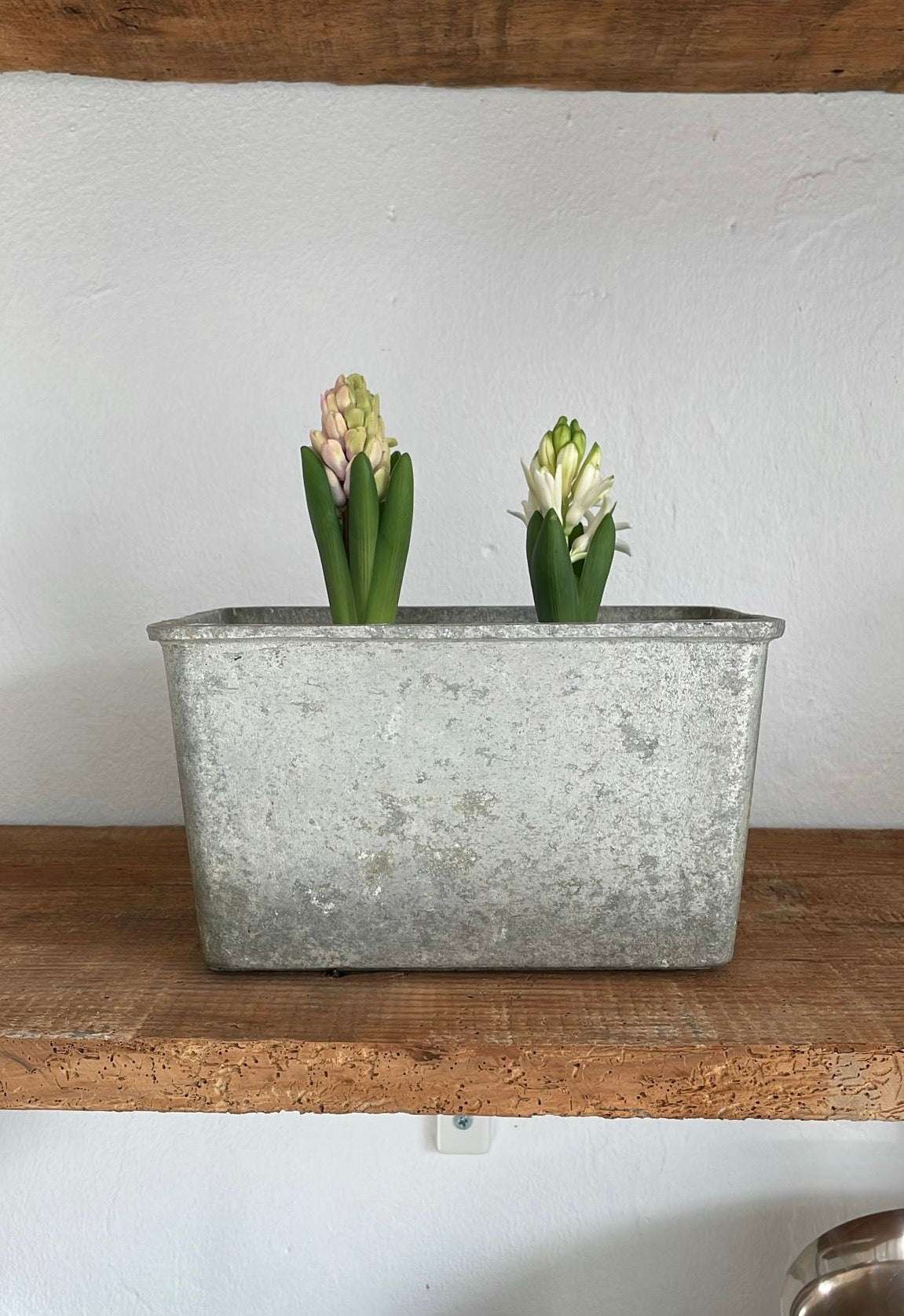 Plant box
