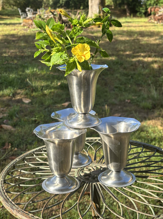 Eternum isskål i børstet stål