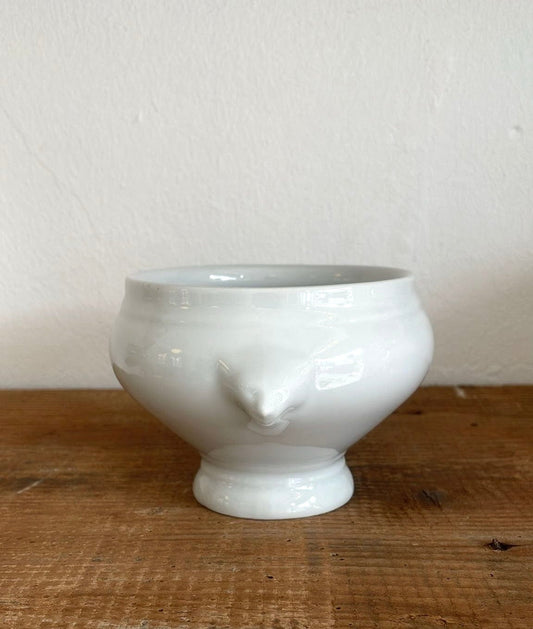 Medium sized lion bowl