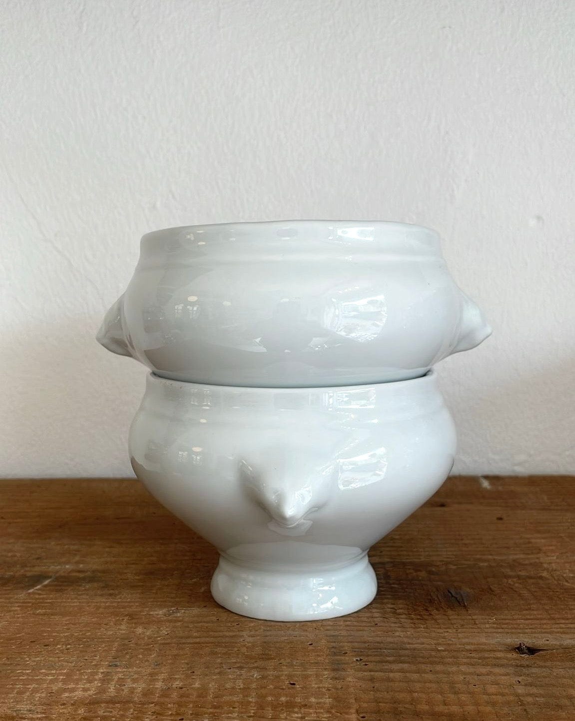 Medium sized lion bowl