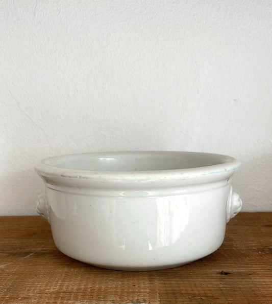 Large lion bowl