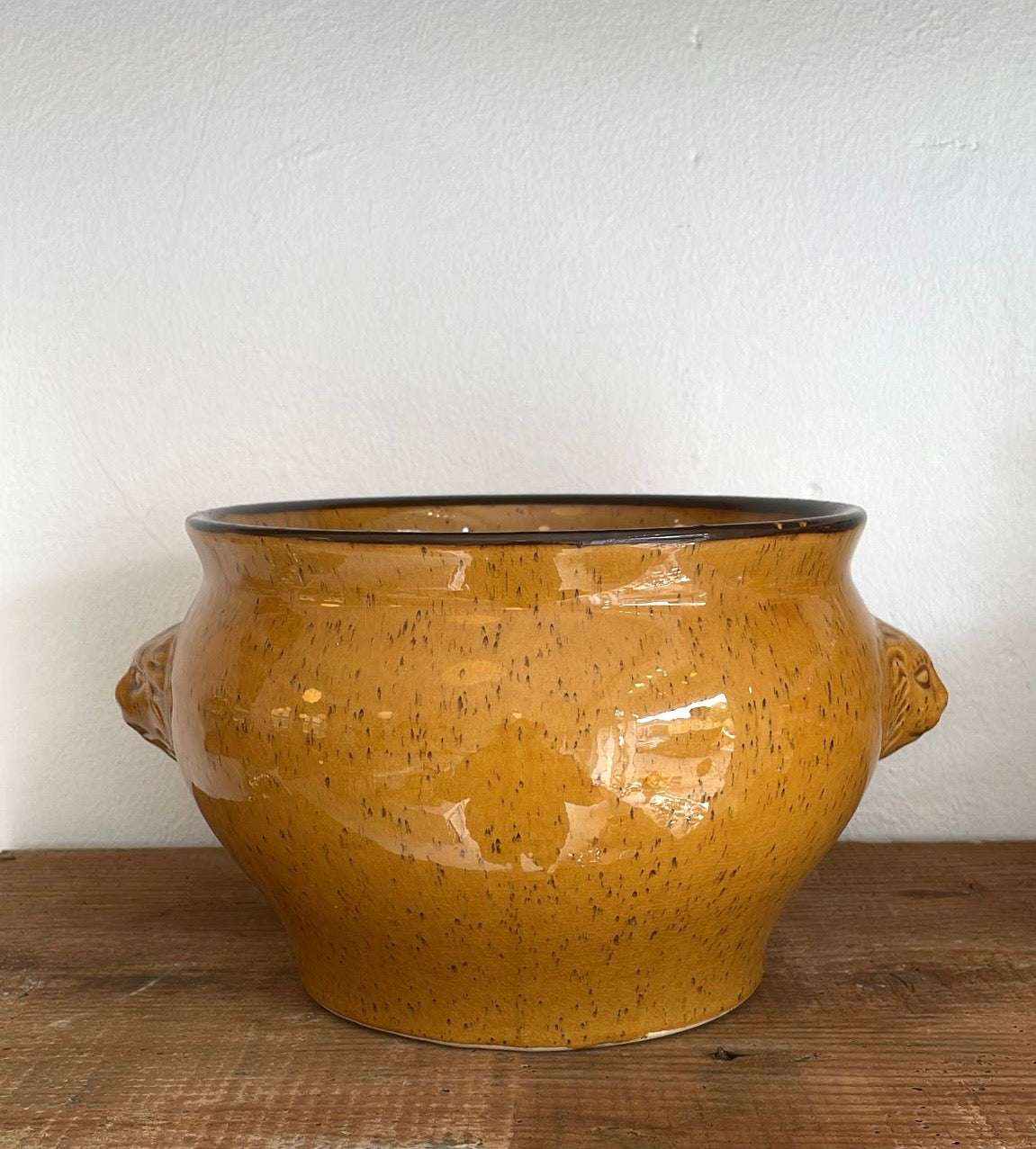 Large lion bowl