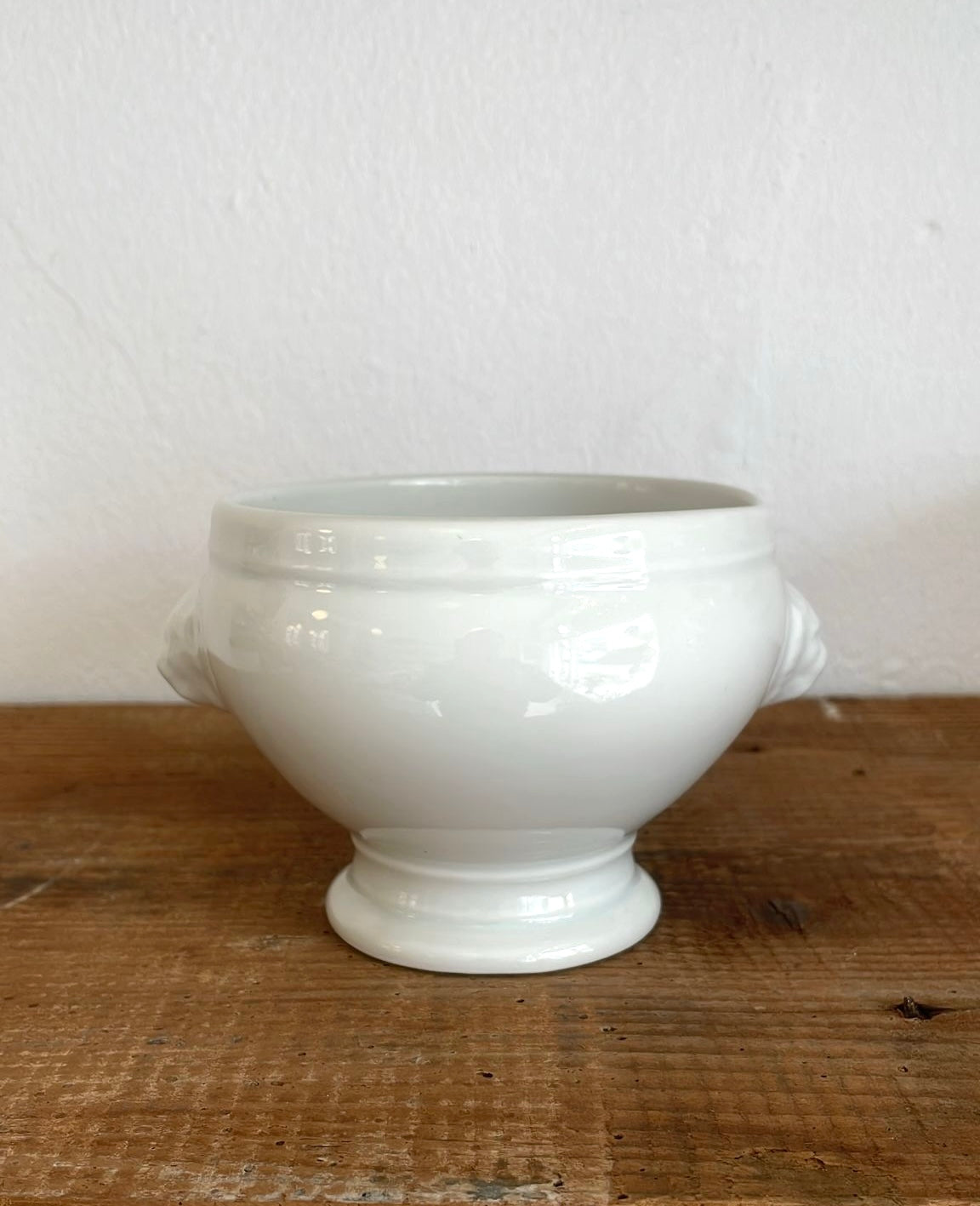 Medium sized lion bowl