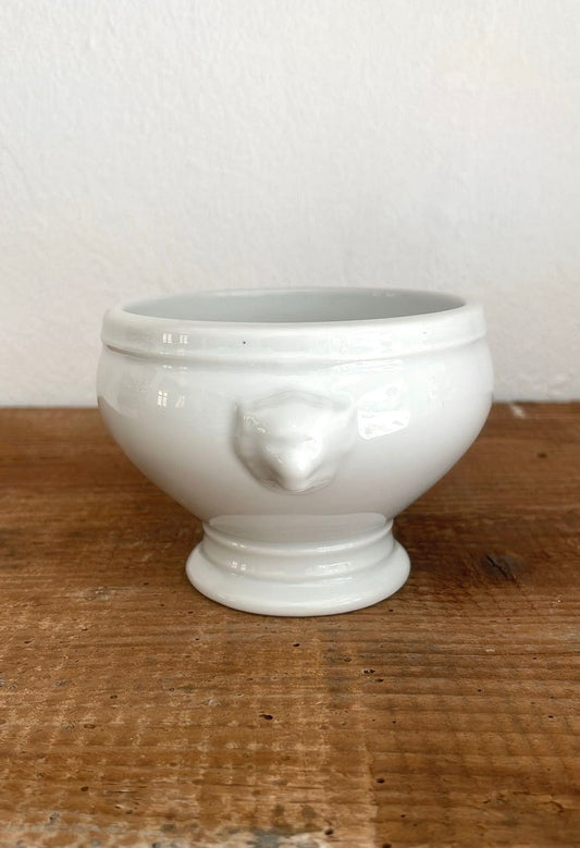 Medium sized lion bowl