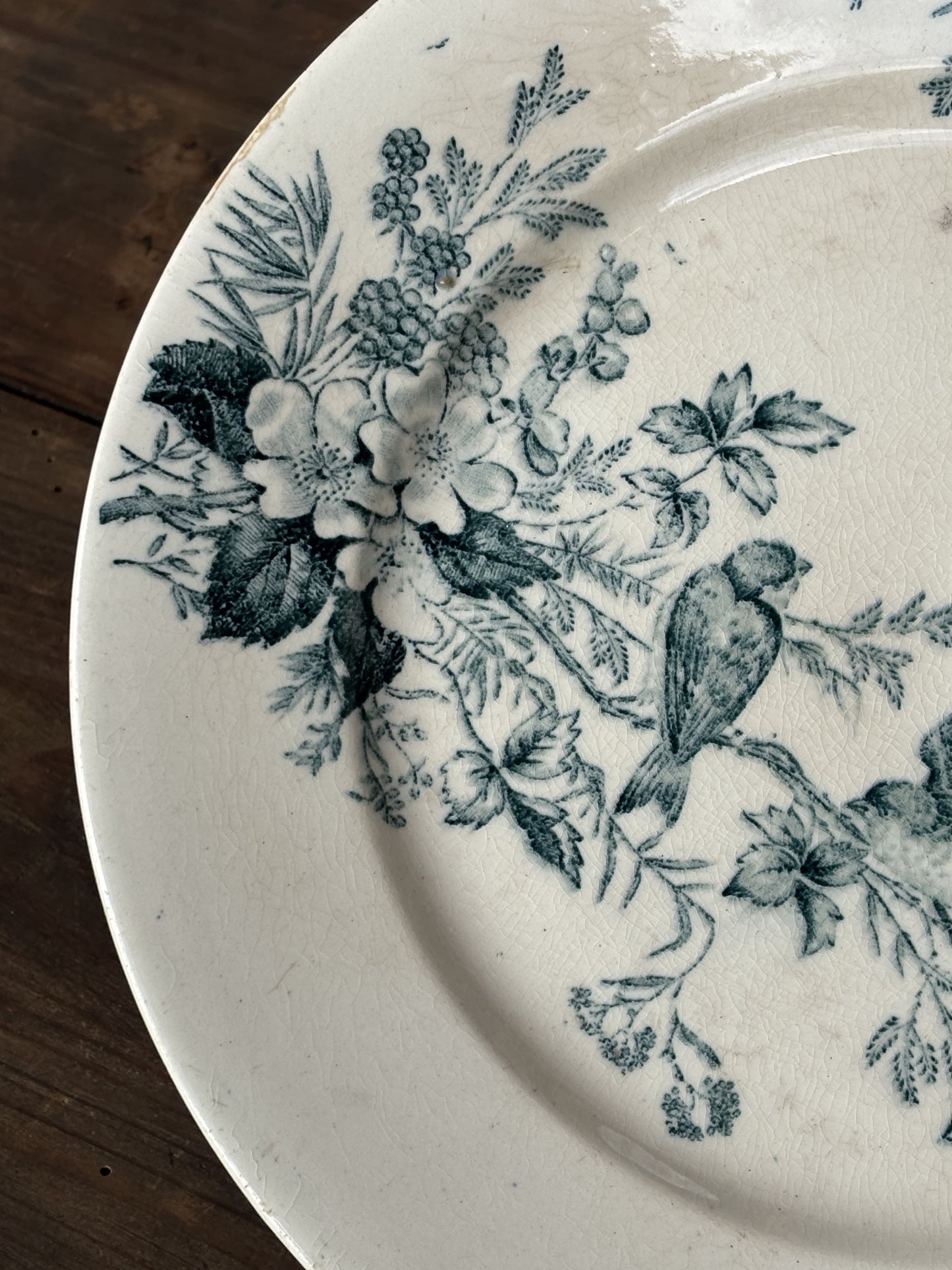 Utensil, Terre de Fer, Longwy with birds