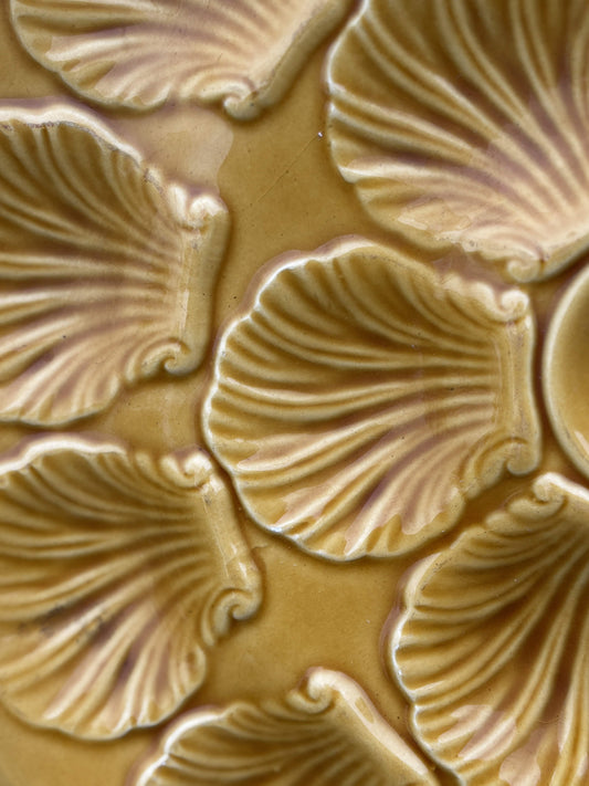 Proceram oyster dish for 18 oysters