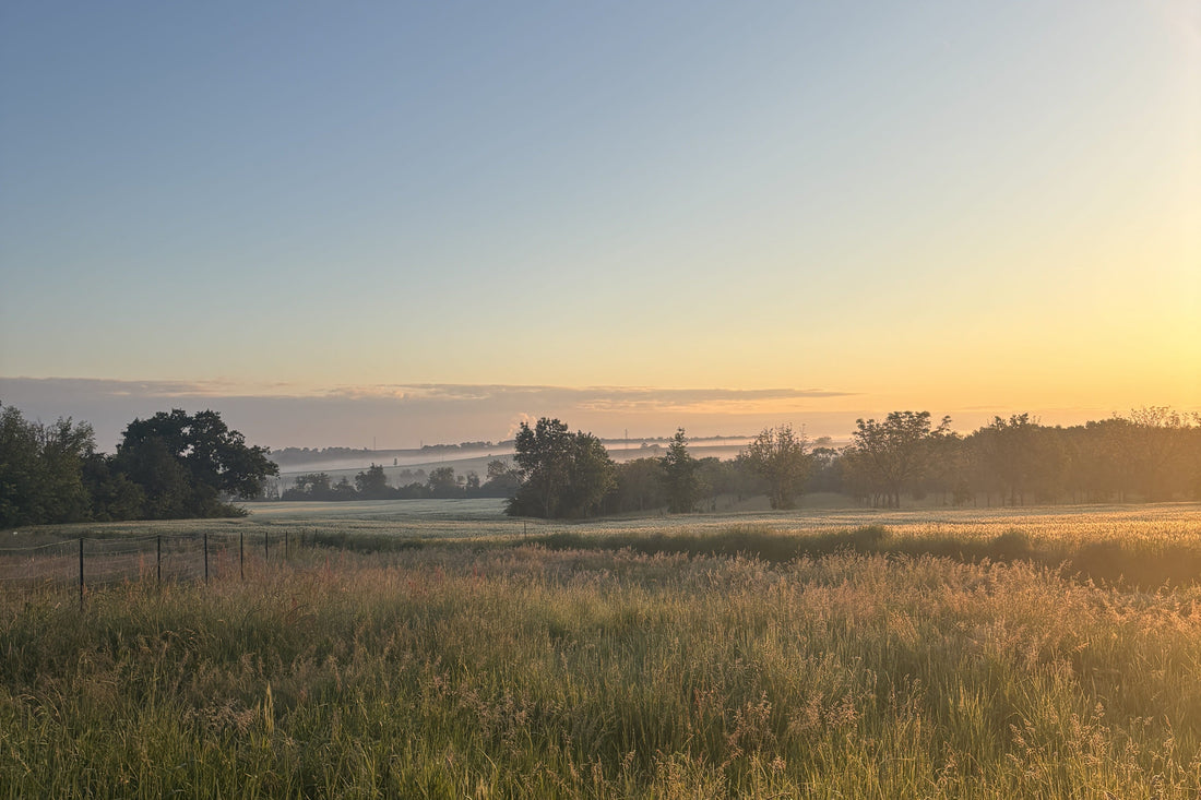 Vores fransk udsigt - Fransk Brocante