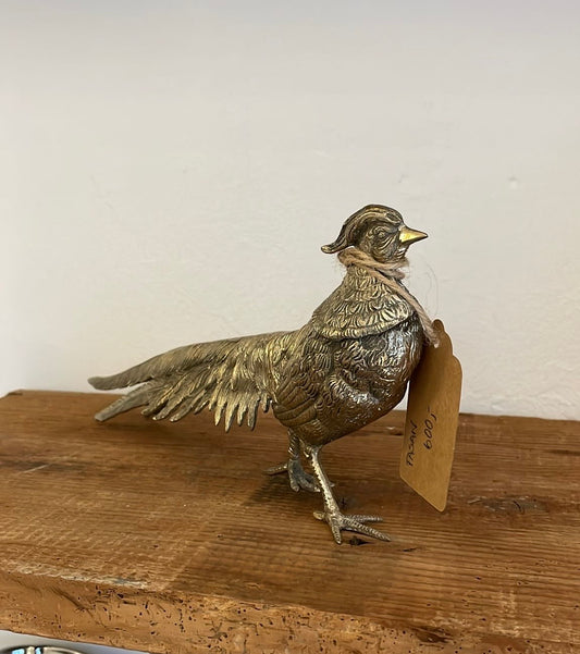 Påfugl