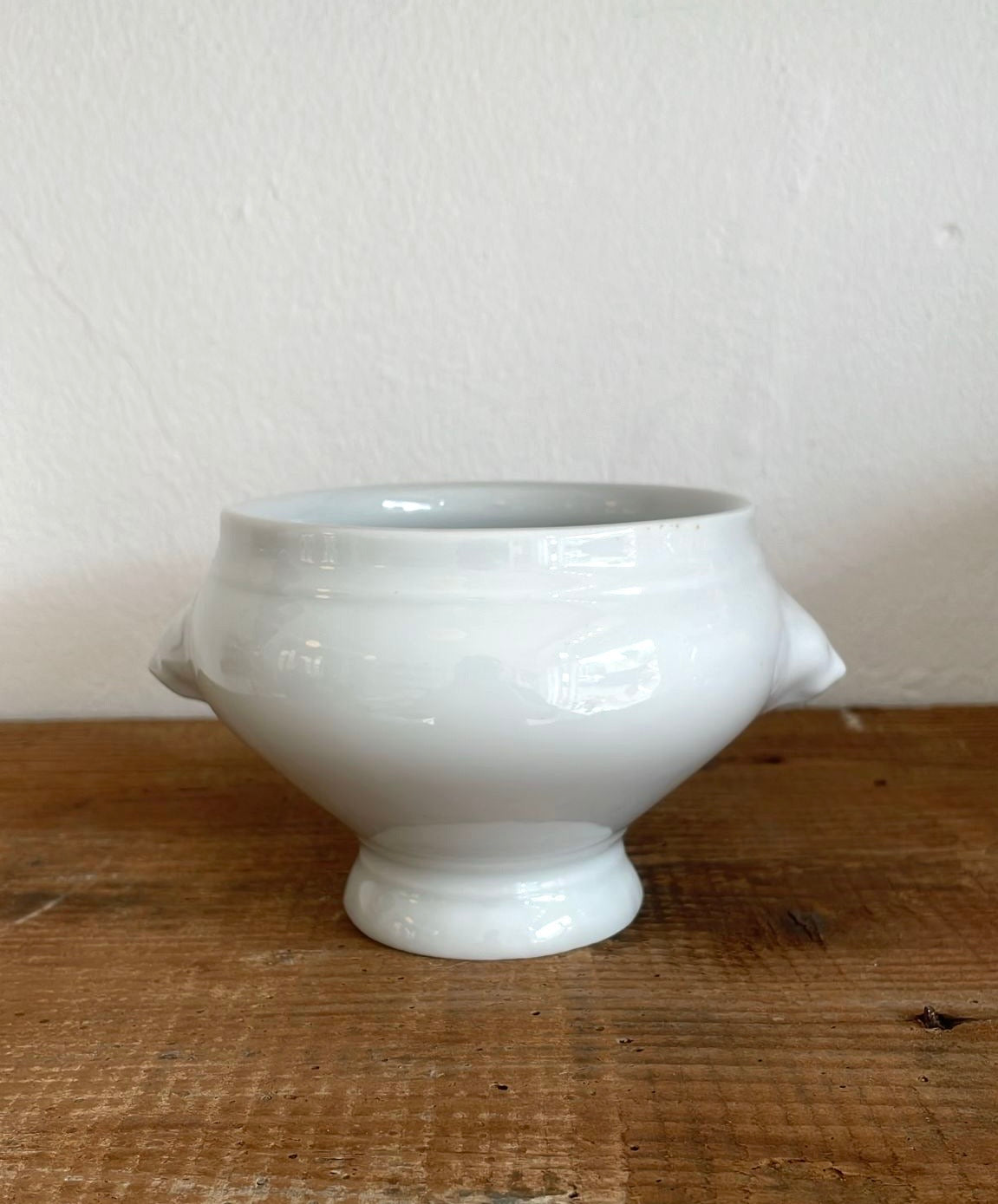 Medium sized lion bowl
