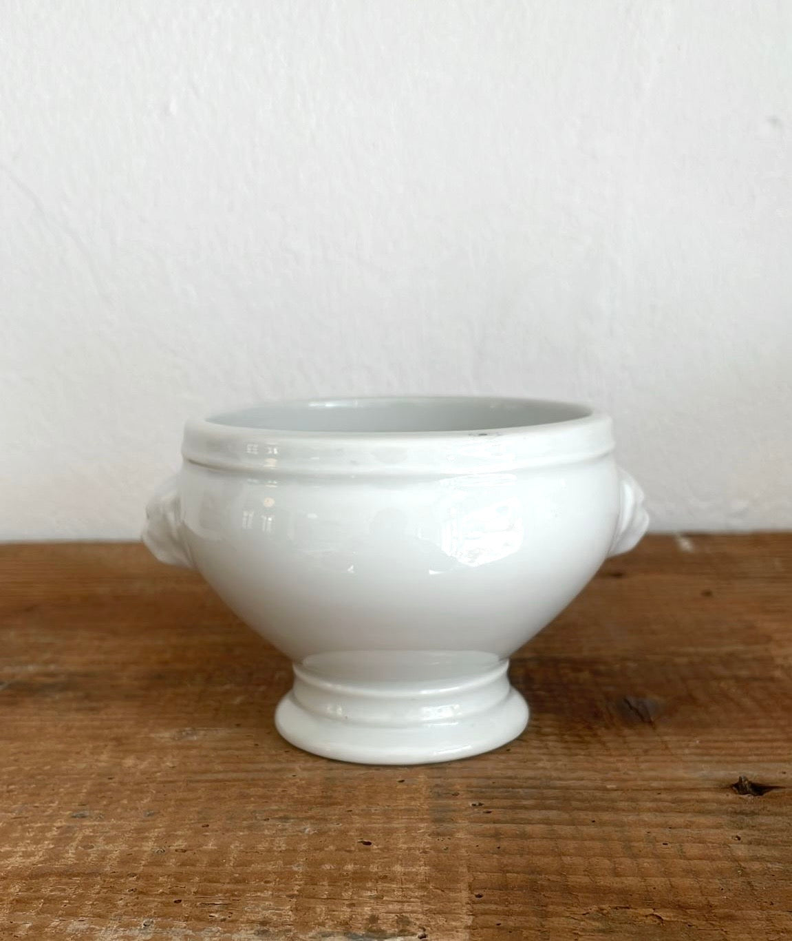 Medium sized lion bowl