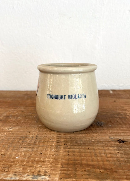Biolacta yogurt container