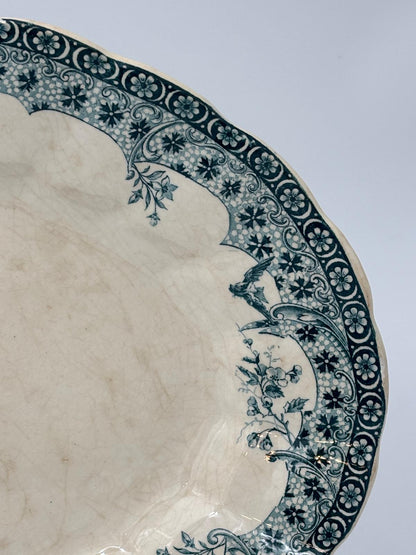 Ovalt terre de fer fad fra Boulenger