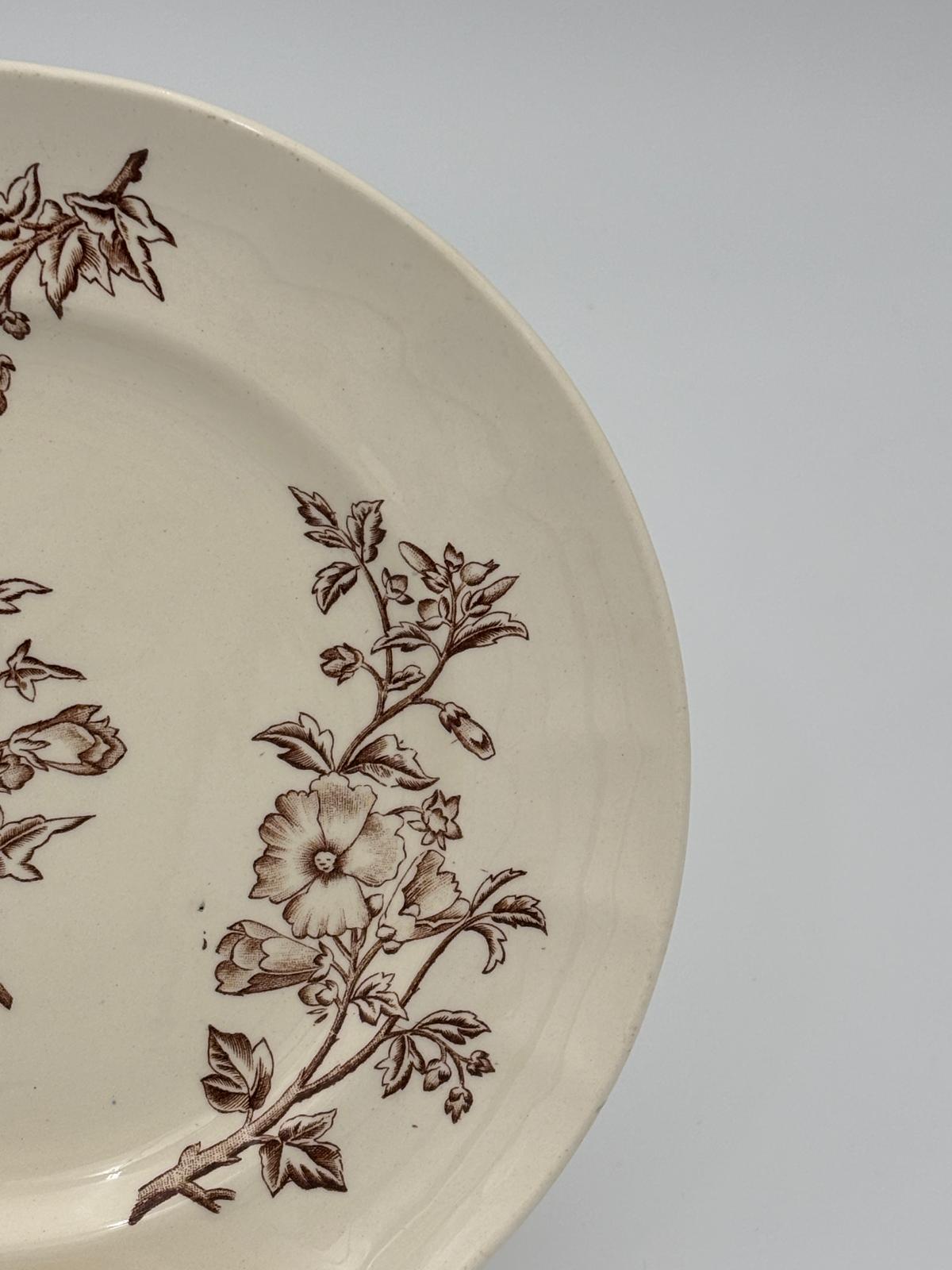 Longchamp Mallows Terre de Fer