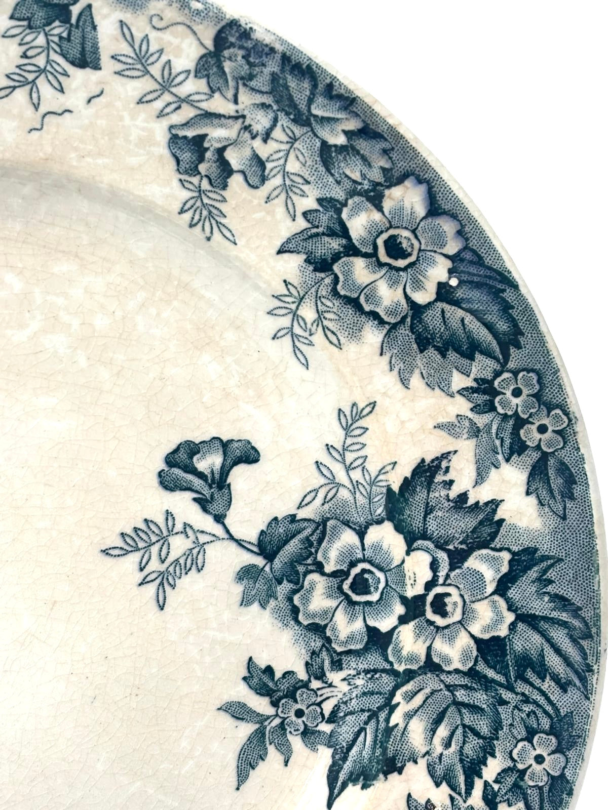 Moulin des Loups - Marie Louise tallerken