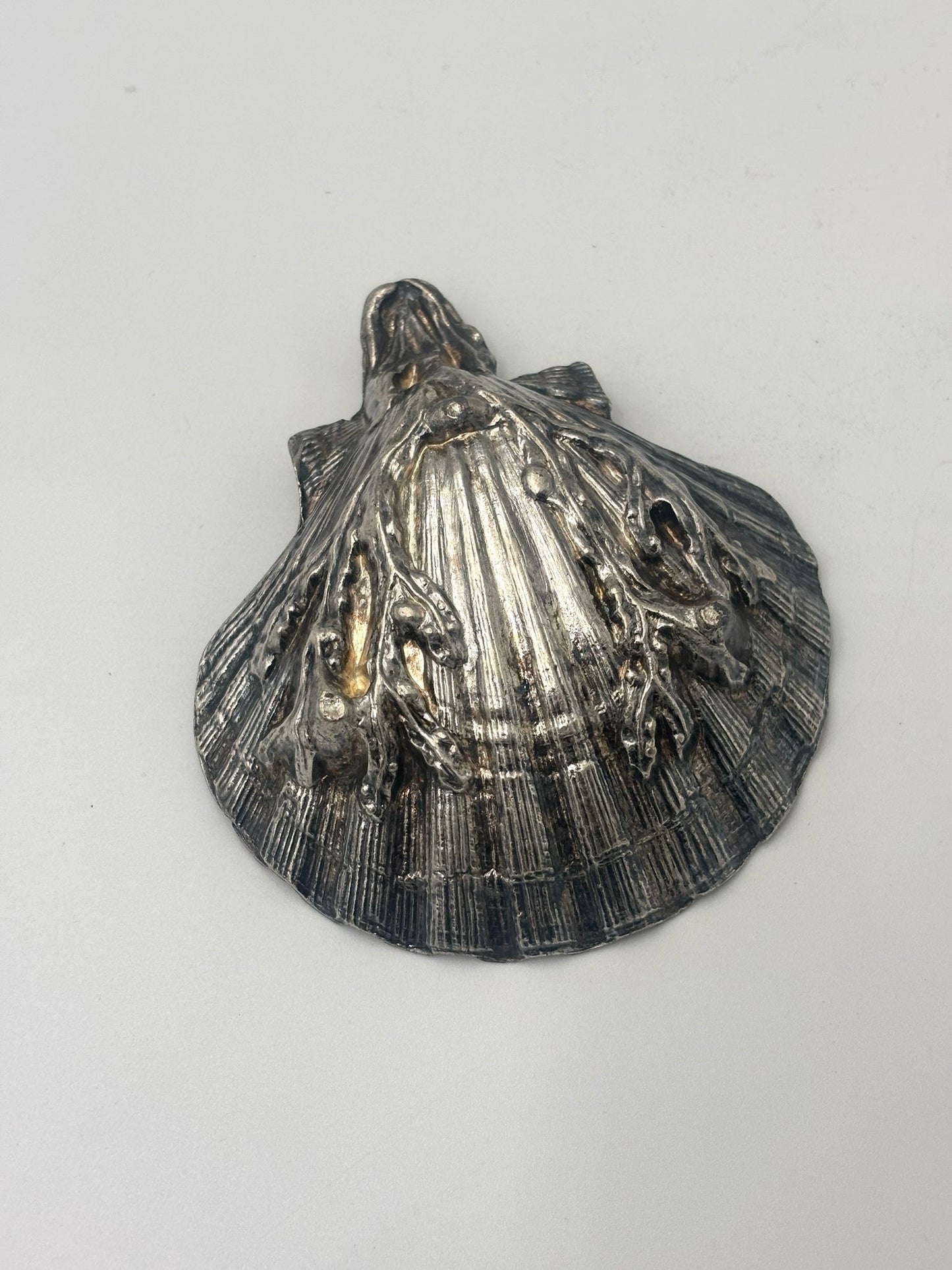 Small seashell bowl on legs