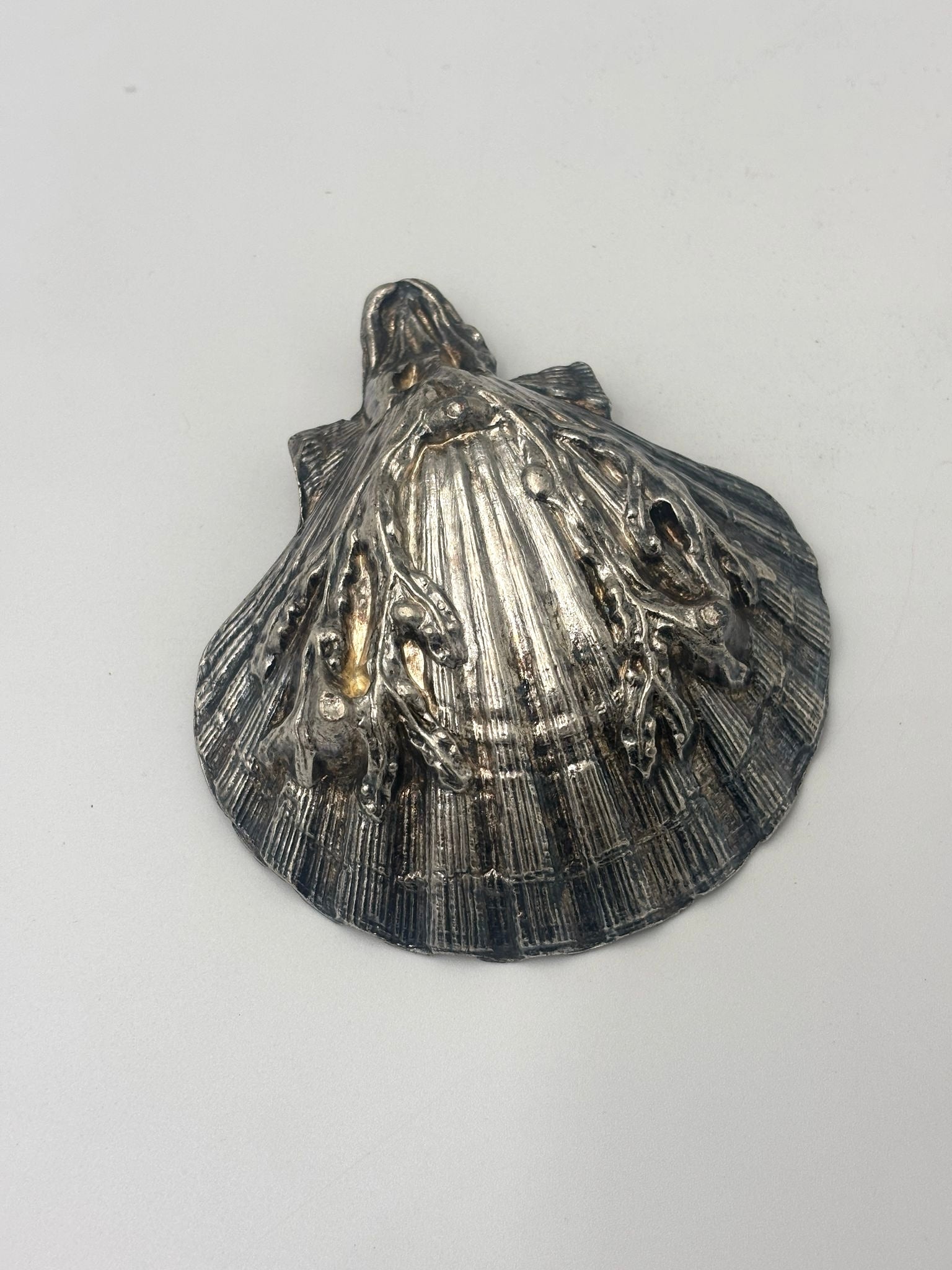 Small seashell bowl on legs