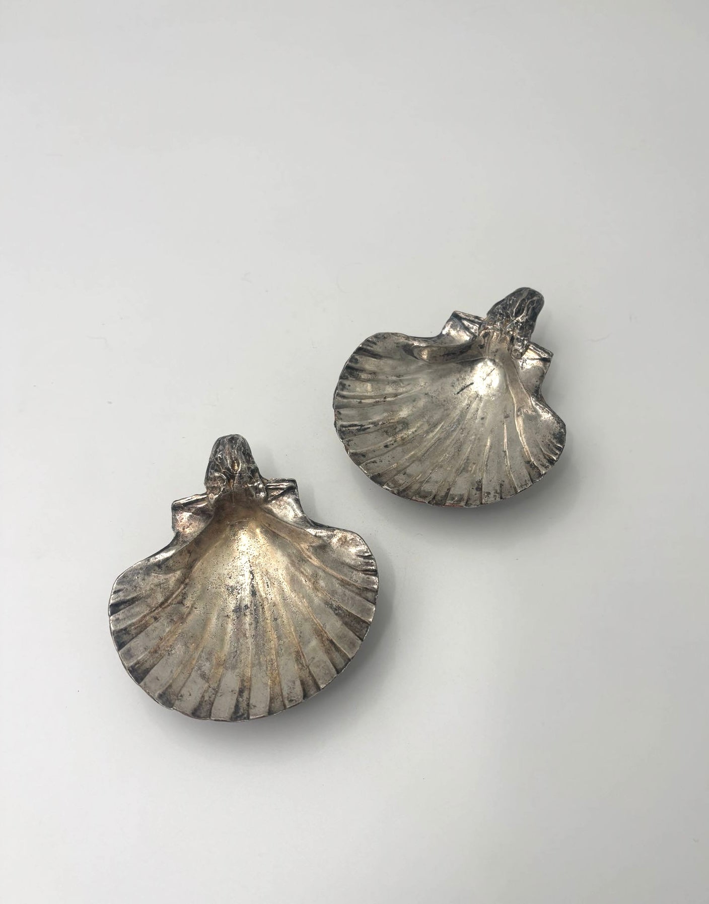 Small seashell bowl on legs