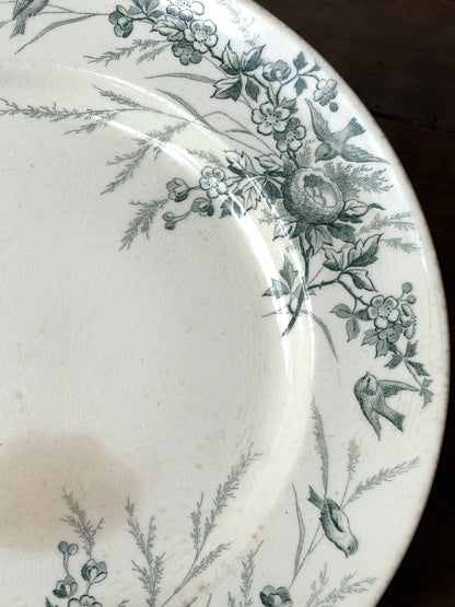 Attachment, Terre de Fer, Linotte model