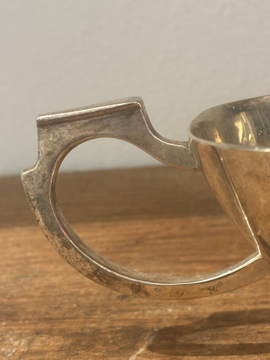 Forsølvet sovsekande 