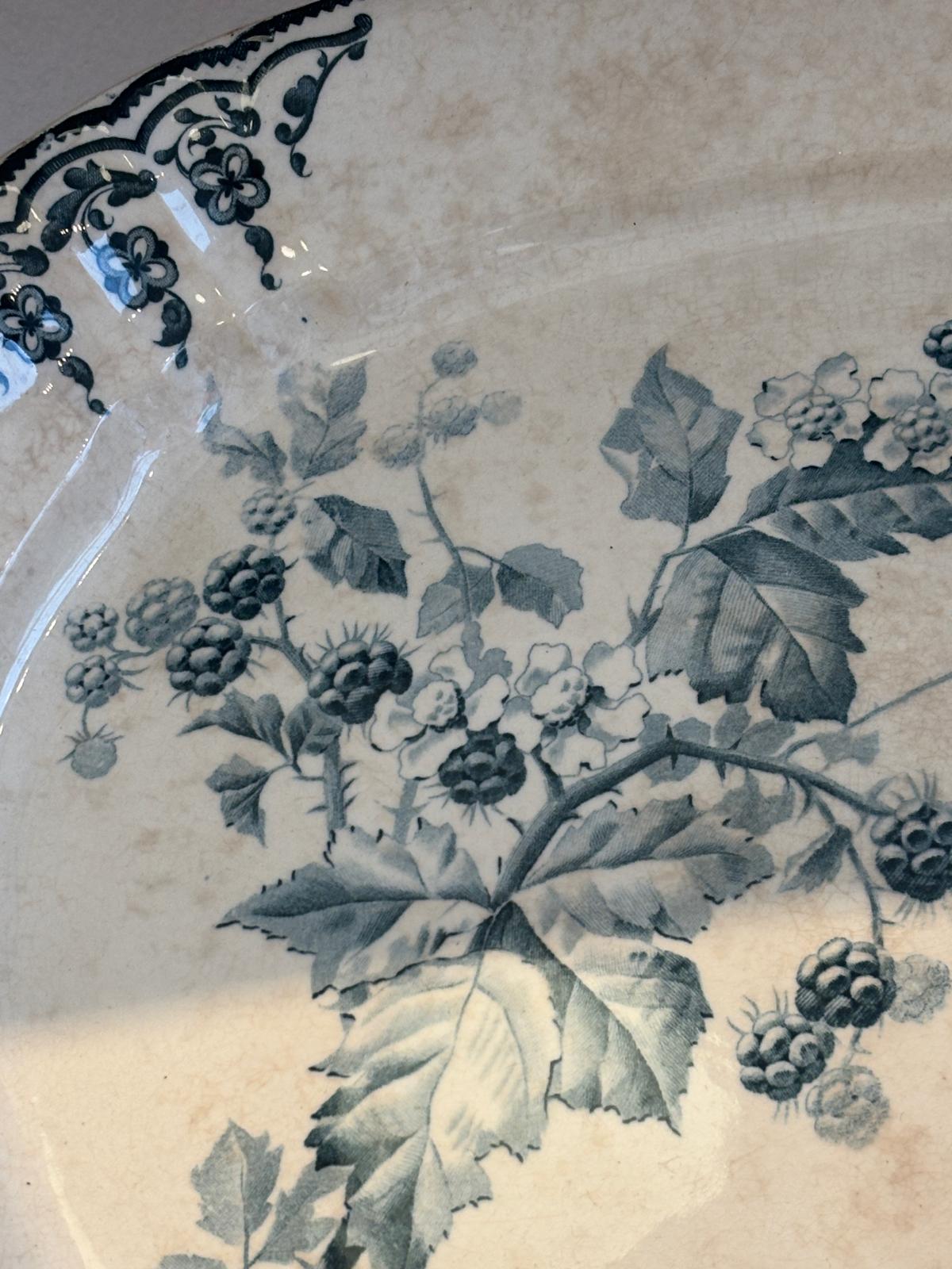 Terre de Fer, Choisy le Roi fad med brombær