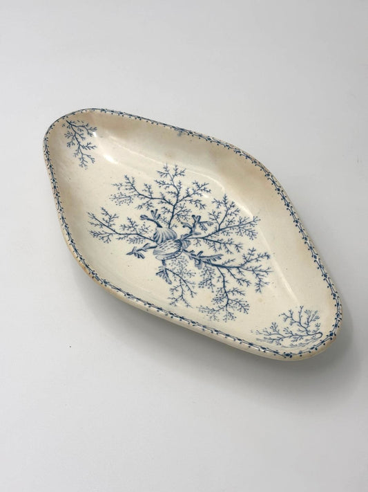 Terre de Fer ravier med koralmønster