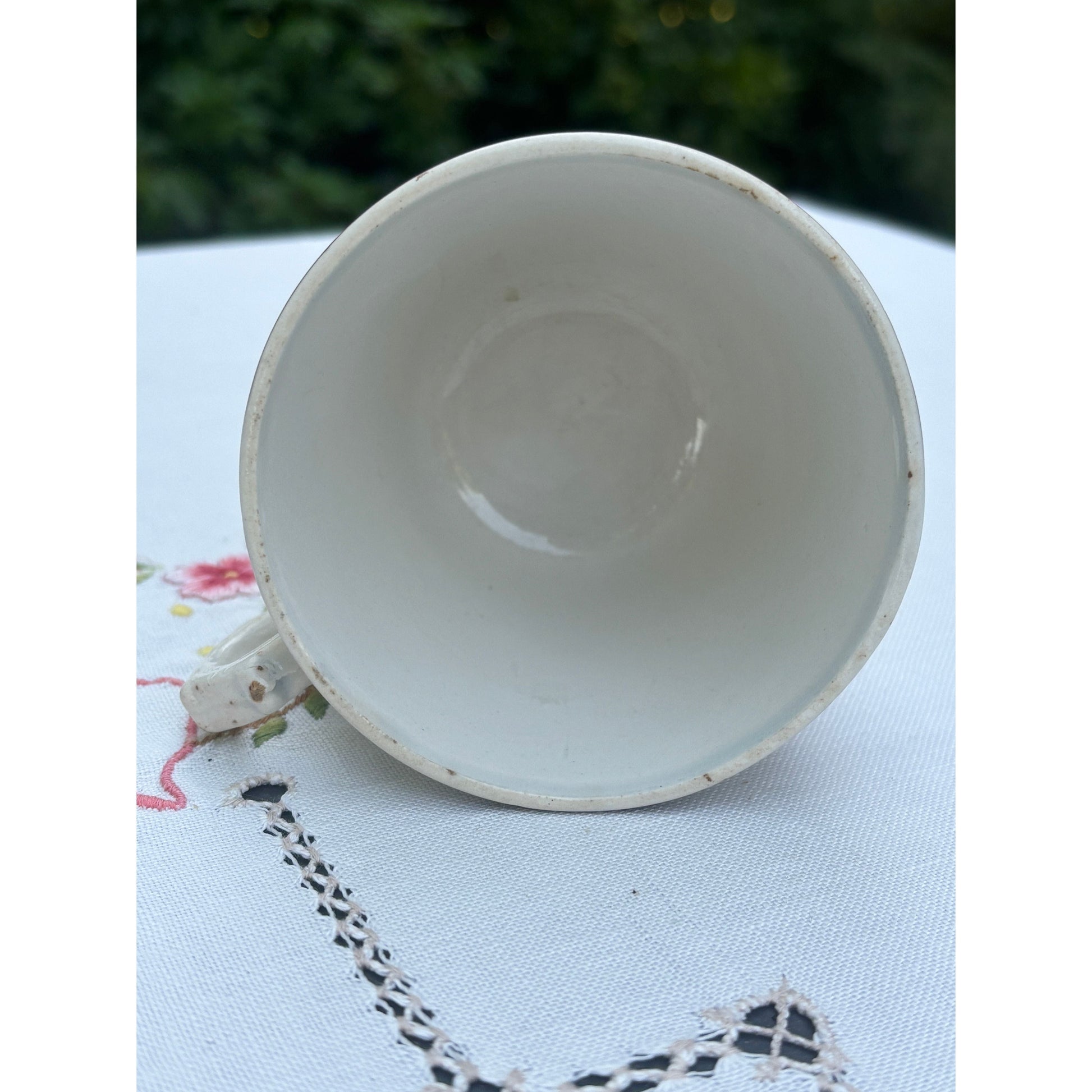 VIANDOX kop - Health