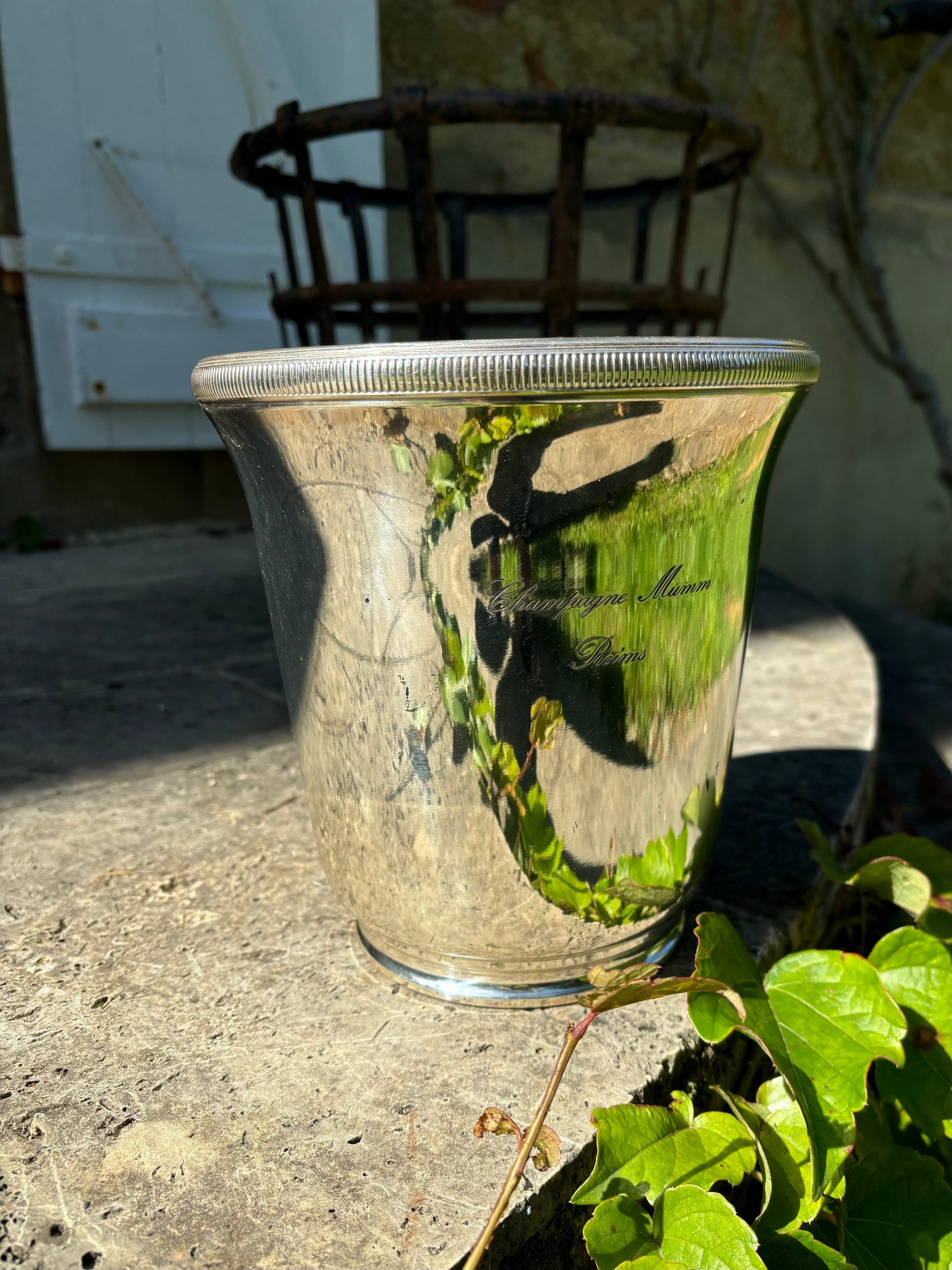 Mumm champagne cooler